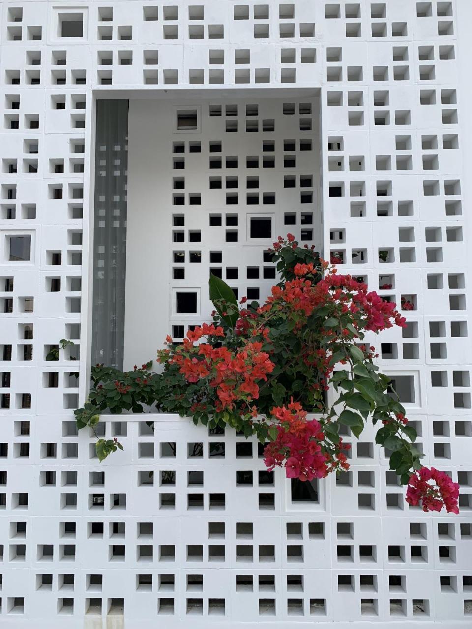 La An Homestay هوي ان المظهر الخارجي الصورة